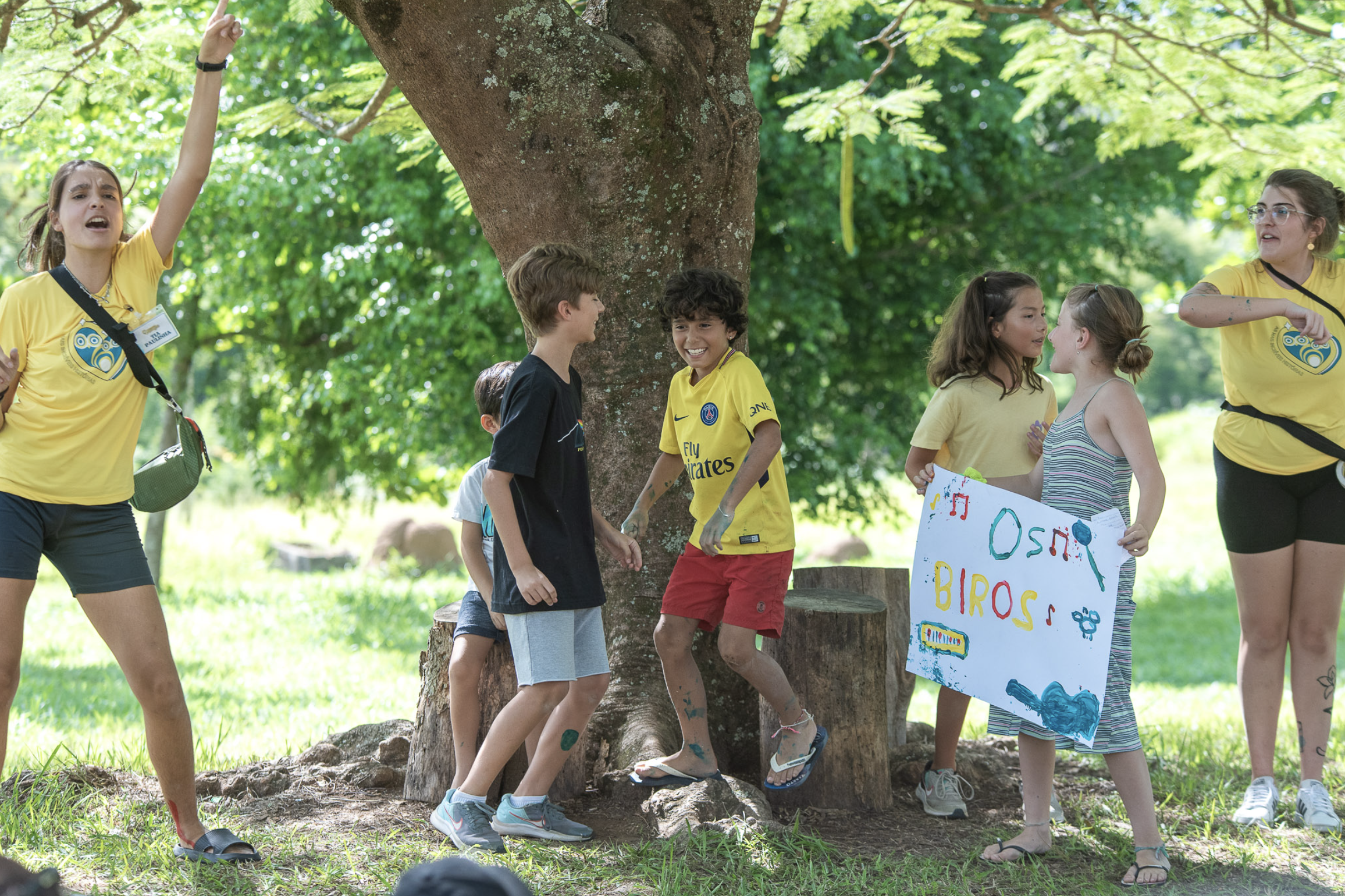 Acampamento de férias