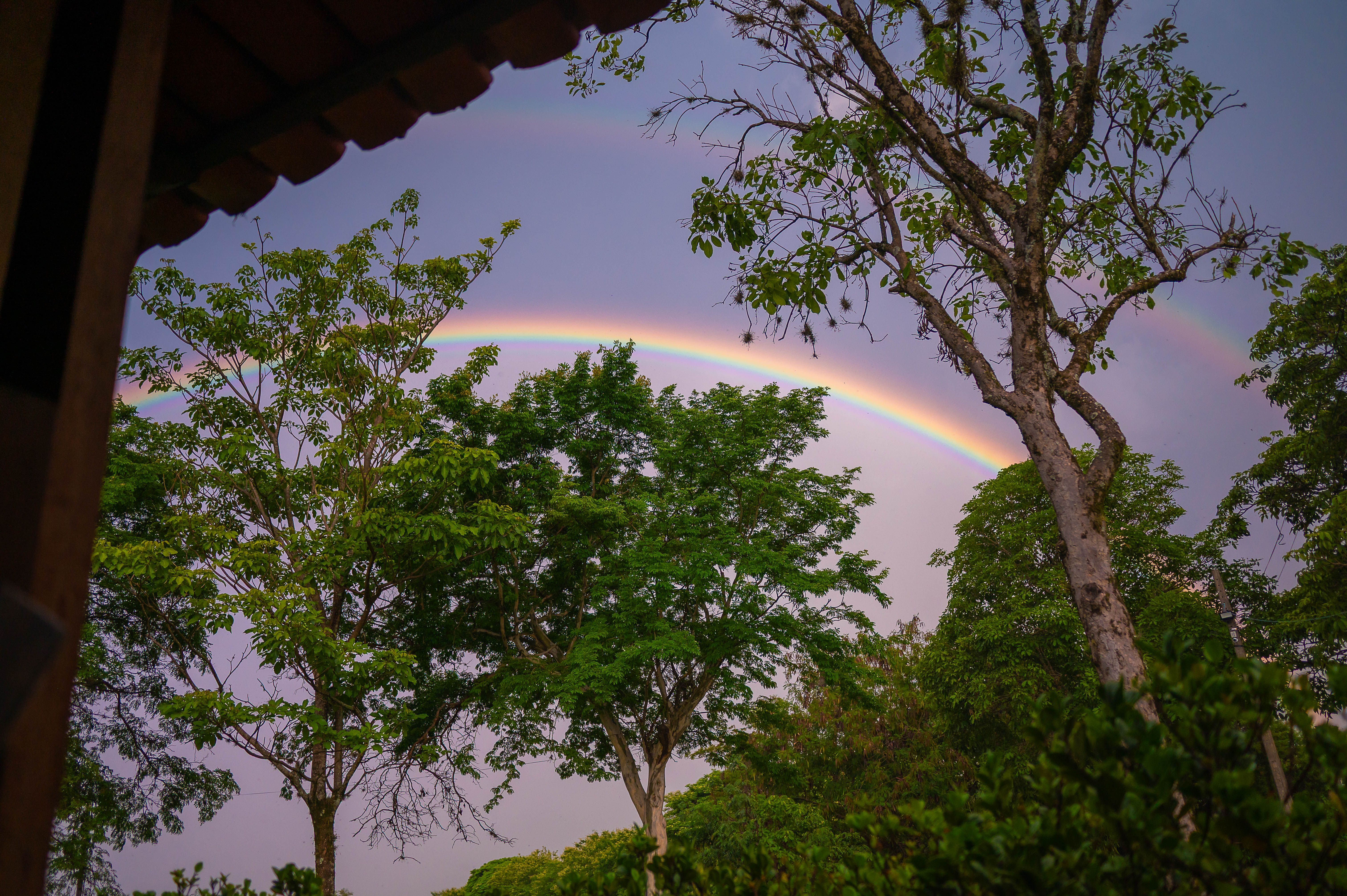Natureza
