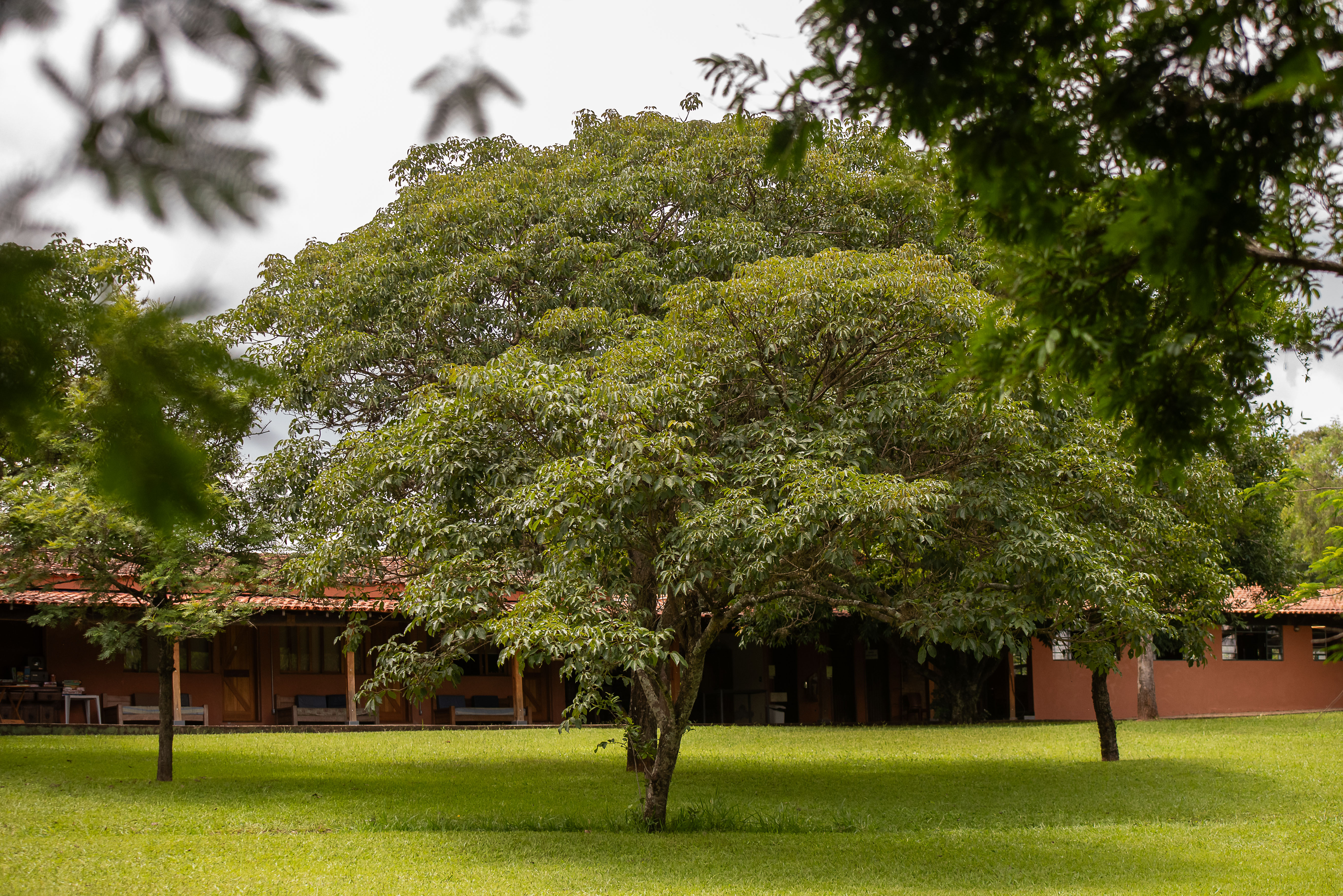 Casa sede