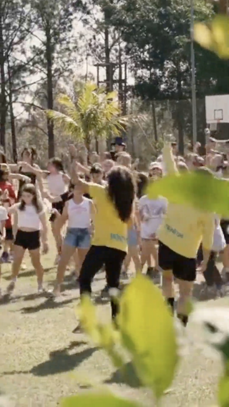 Programação em vídeo